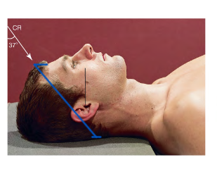 <p>Special Projection Terms: </p><p></p>