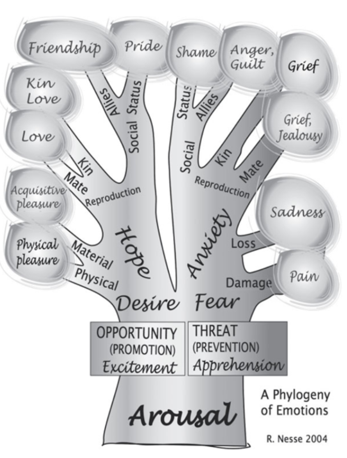 description of relationships among different emotion in terms of shared evolutionary history and branching from a common ancestor 