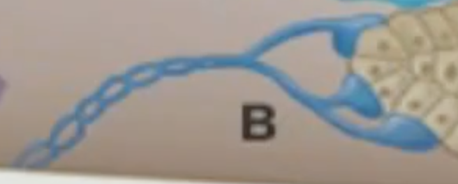 <p>What does this do and whats the name?</p>