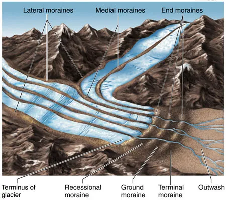 <p>long, rough ridges of rocky debris (till)</p><ul><li><p>lateral moraines: Run along the sides of a valley glacier</p></li><li><p>medial moraines: Run down the middle of a glacier, forms where two glaciers merge</p></li><li><p>terminal moraines: Found at the downhill end of a glacier</p></li></ul><p></p>