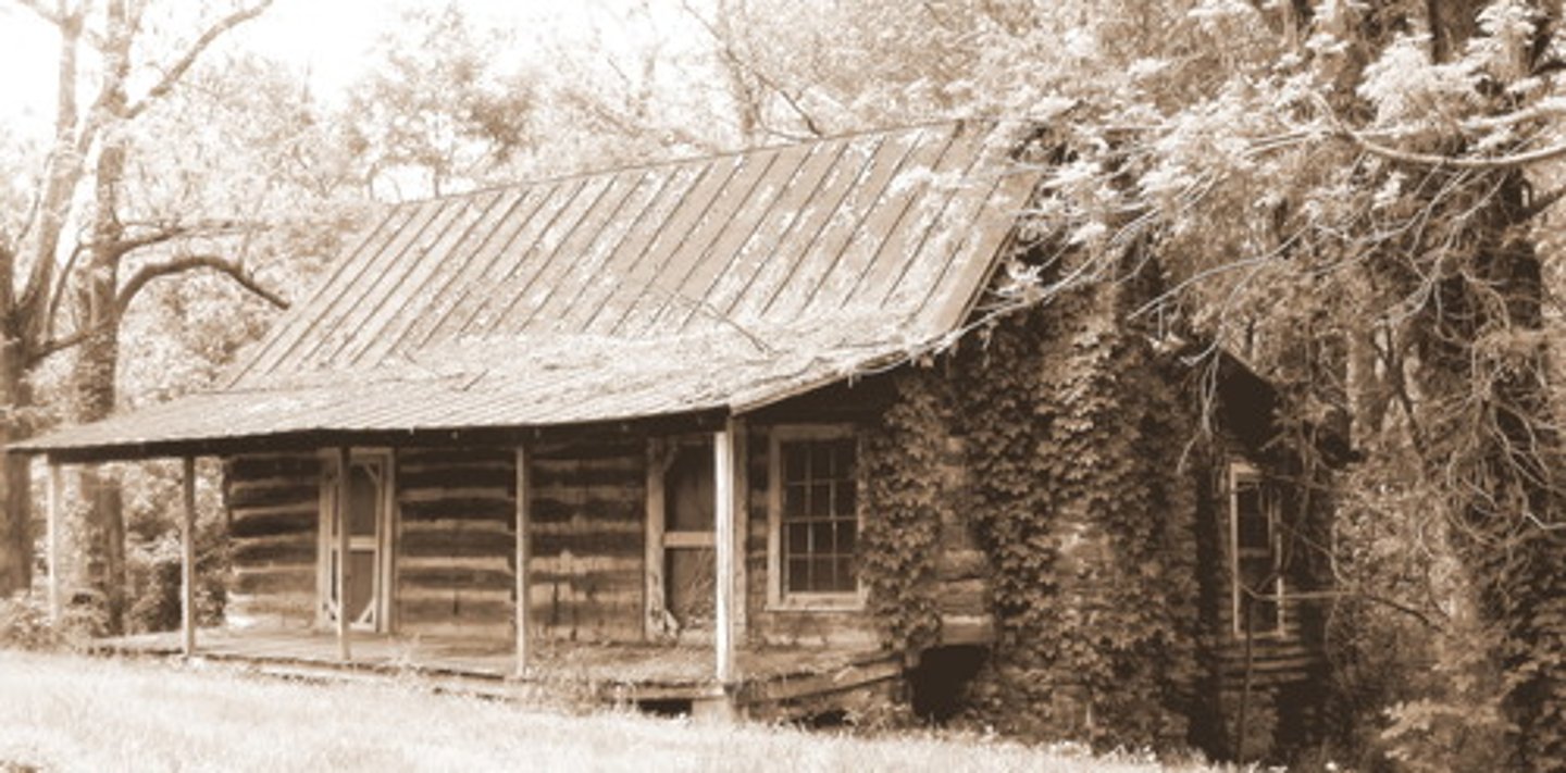 <p>la cabaña</p>