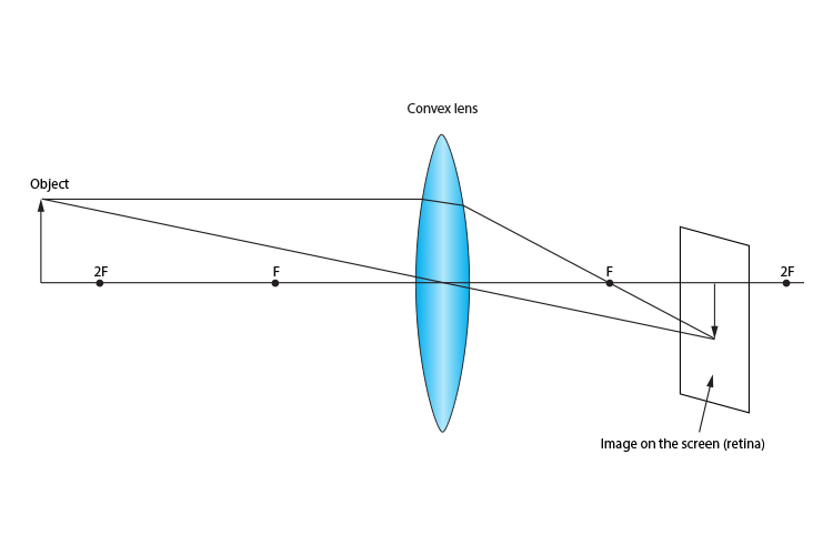 <p><span>What type of image is formed in this diagram?</span></p><p><em><span>Converging Lens - Object more than 2F away</span></em></p>
