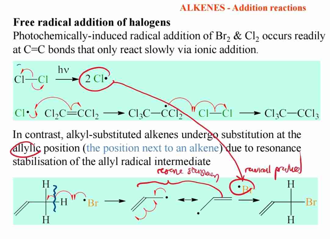 <p>A:Free radical addition involves the formation of radicals and occurs under light conditions, leading to substitution at the allylic position.</p>