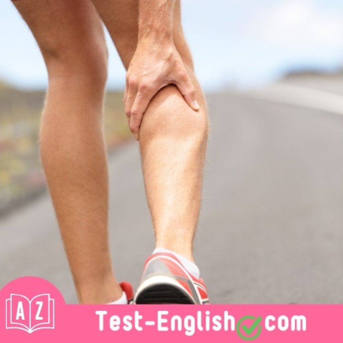 <p>If you stand on your toes for a long time your _____ muscles will hurt.</p>