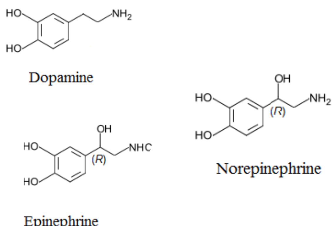 <p>Named on the basis of the hydroxylated<br>phenol ring termed a catechol nucleus. Dopamine, Norepinephrine, and Epinephrine. All share similar chemical structure.  </p>