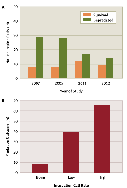 <p>What’s the main message?</p>