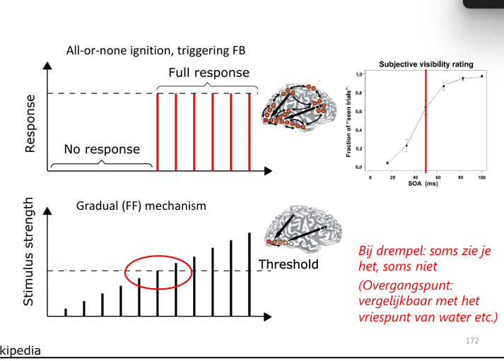 <p>wat bepaalt de threshold in het brein?</p><p>stimulus sterkte is gradueel, alles erboven full respons</p><p></p><p>Bij drempel: soms zie je het, soms niet (Overgangspunt: vergelijkbaar met het vriespunt van water etc.)</p>