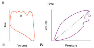 <p>What does this indicate?</p>