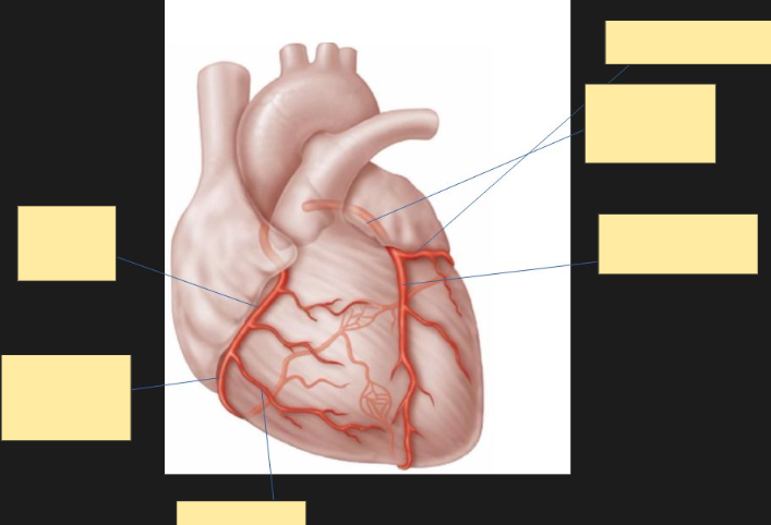 <p>2</p>