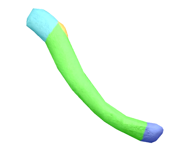 term image