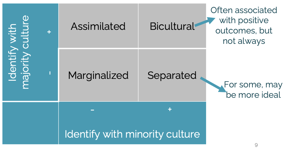 <p>bicultural, separated, assimilated, marginalized</p>