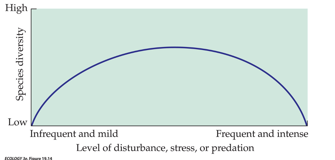 <p><span><strong>Intermediate disturbance hypothesis (Connell 1978) </strong></span></p>