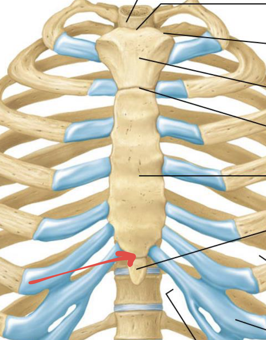 <p>what is this?</p>