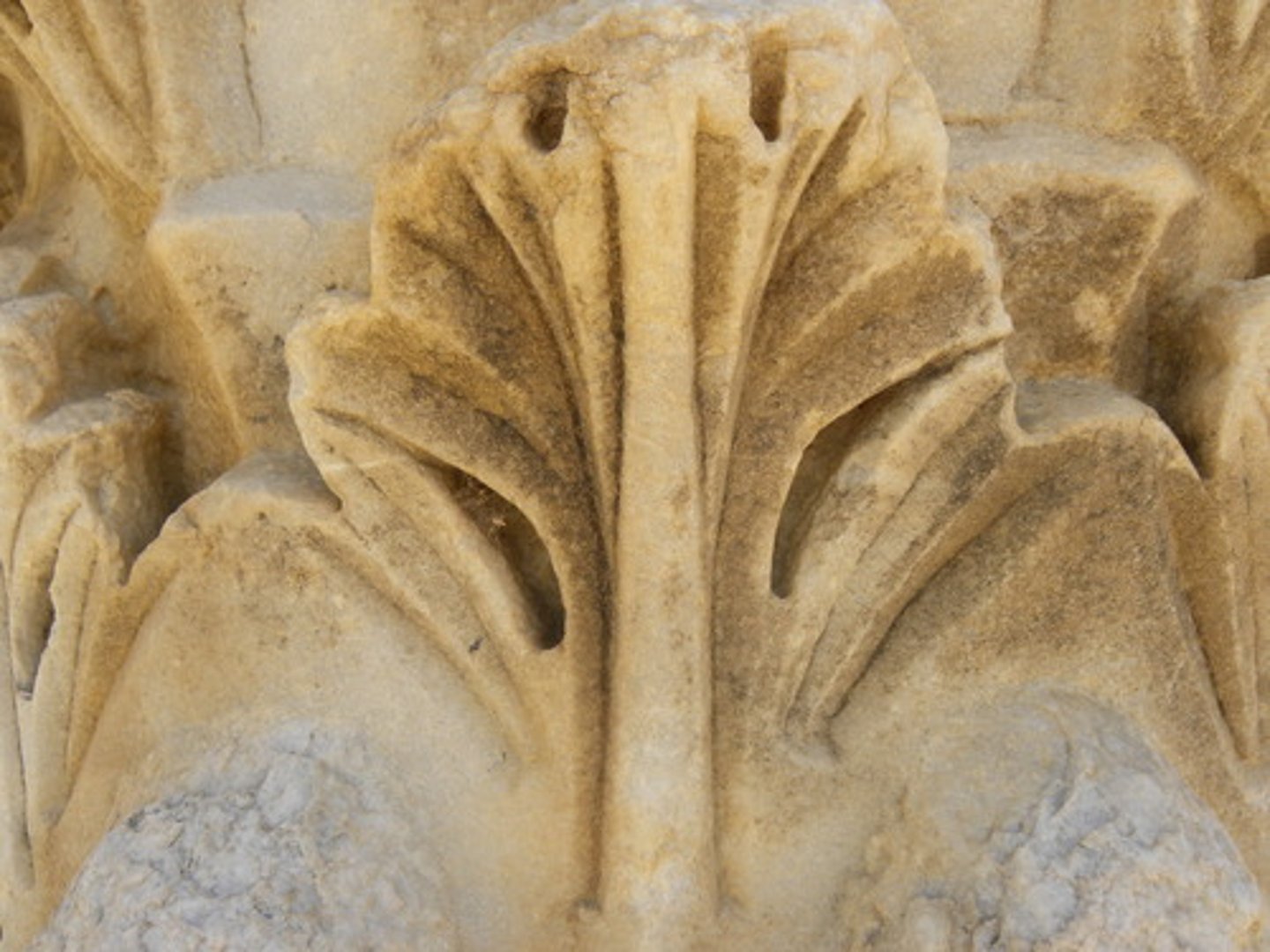 <p>combines acanthus leaves with volute scrolls</p>