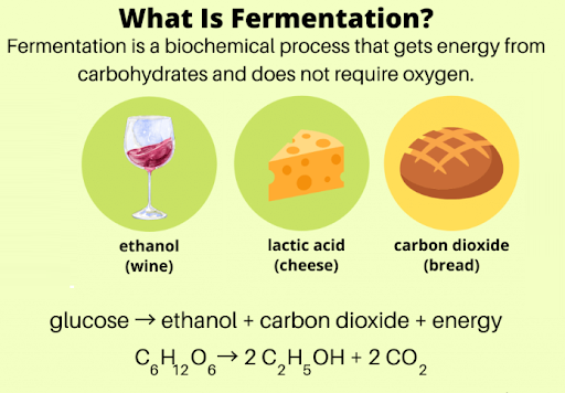 <p>Making ATP without oxygen is called fermentation. When oxygen is in short supply, some organisms use anaerobic respiration instead. Human muscle cells also use fermentation. This occurs when muscle cells cannot get oxygen fast enough to meet their energy needs through aerobic respiration.</p>