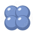 <p>Morphology name</p>