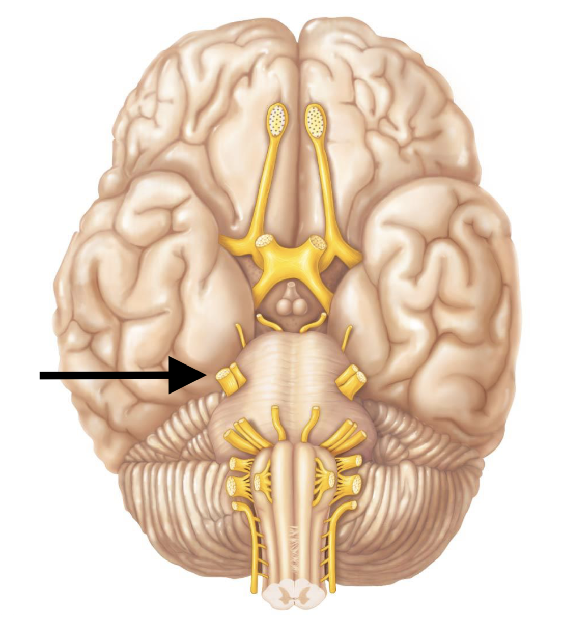 <p></p>