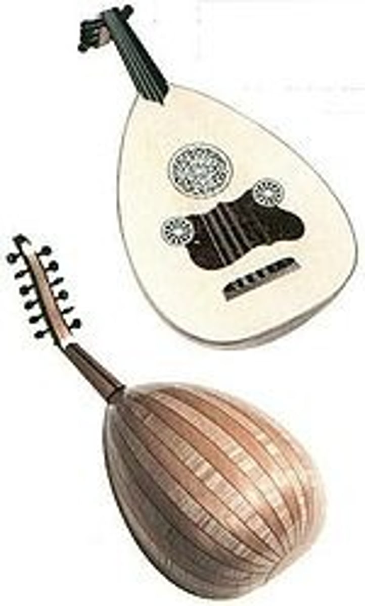 <p>Arabian guitar</p>