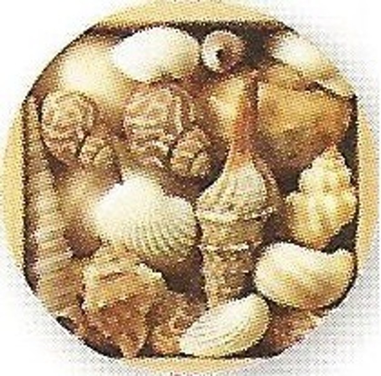 <p>собирать, коллекционировать</p>