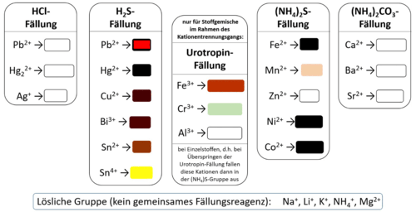 <p>Pb²⁺ NS (H₂S)</p>