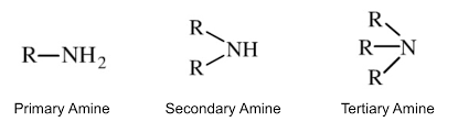 N bonded to three carbons