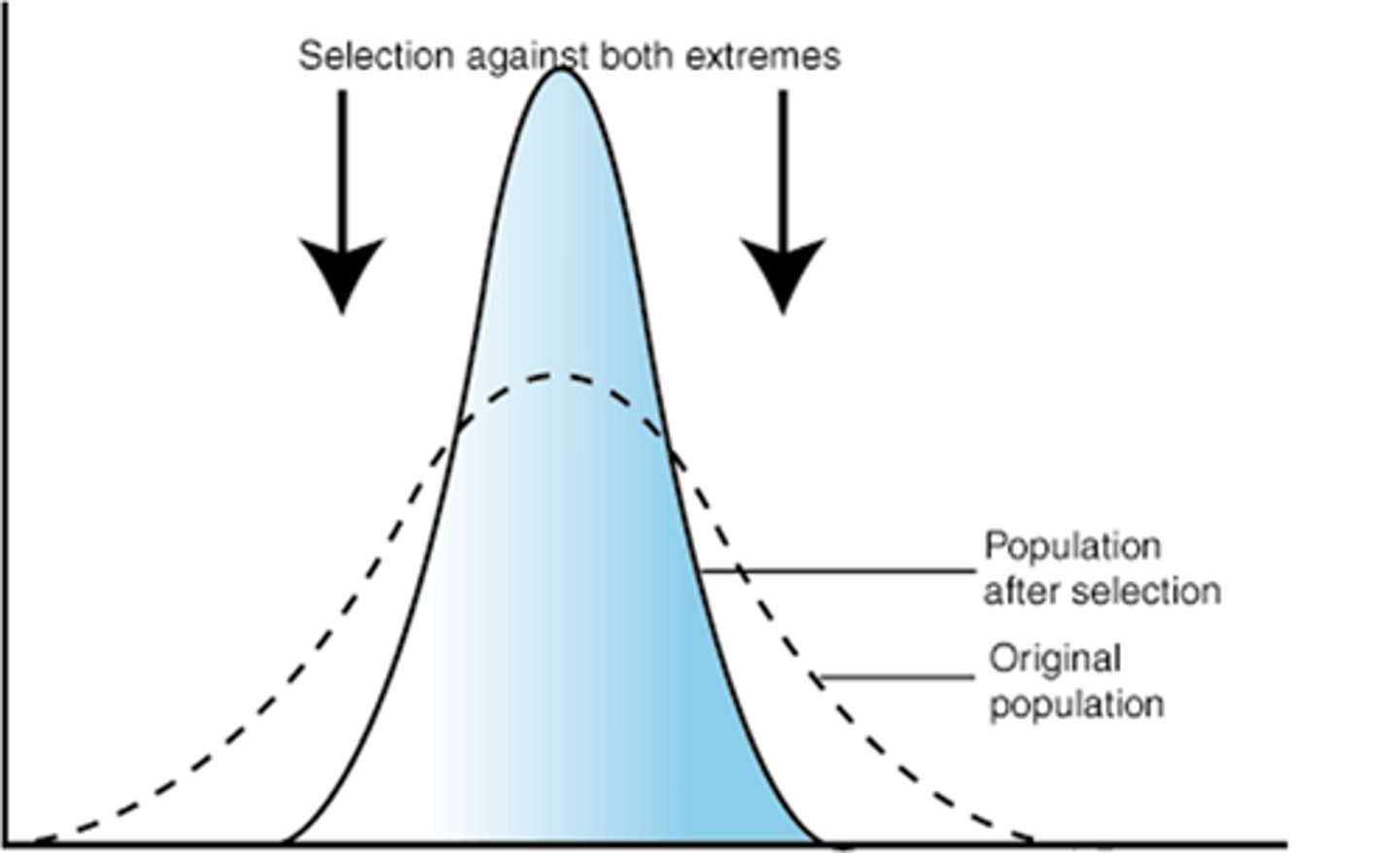 <p>-The "average" trait is selected</p><p>-This is thought to be the most common mechanism of action for natural selection because most traits do not appear to change drastically over time.</p><p>-A classic example of this is the human birth weight.</p>