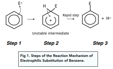 <ul><li><p>The electrophile E+ is attracts pair of electrons in the delocalised p-orbital electron structure forming a bond</p></li><li><p>An intermediate is formed where the delocalised structure is disrupted and both the hydrogen and E are bound onto the benzene</p></li><li><p>This intermediate ion has a partially delocalised structure but away from the carbons close to/bound to H &amp; E</p><ul><li><p>The ion has a positive charge because the E+ was positive</p></li></ul></li><li><p>The hydrogen will then bind to a nucleophile in the reaction mixture - e.g. O: - this doesn’t need to be represented</p></li><li><p>This means the 2 electrons in the dative hydrogen bond with benzene are no longer in the bond and so <span style="font-size: medium;">they move down to plug the gap in the delocalised electrons restoring the delocalised ring of electrons</span></p></li></ul><p></p>