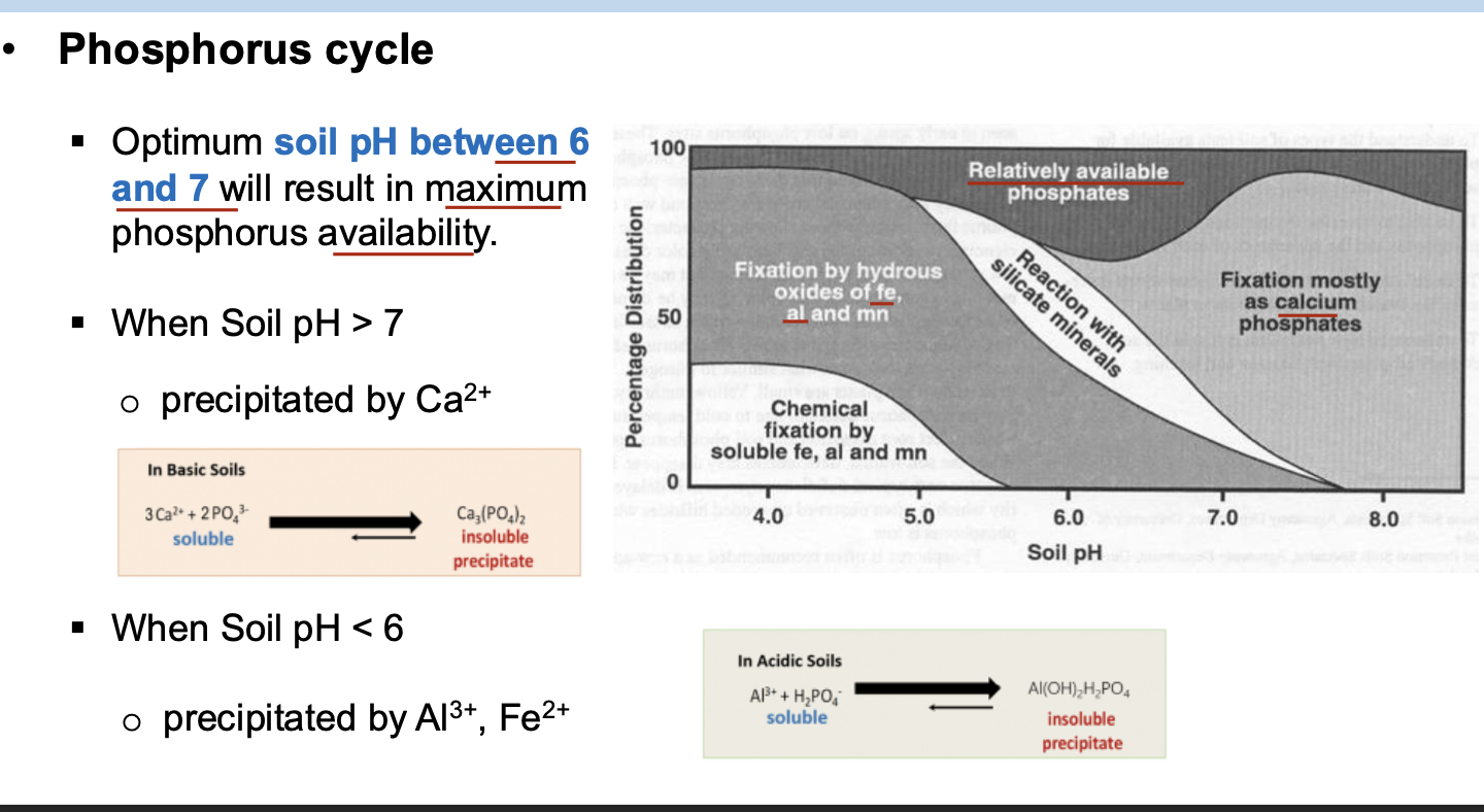 <p>C. 6.0-7.0</p>