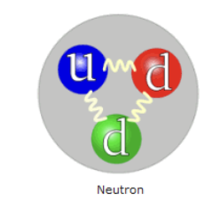 <p>made up from 3 quarks (2 down quarks and 1 up quark)</p><ul><li><p>n = u + d + d</p></li></ul><p></p>