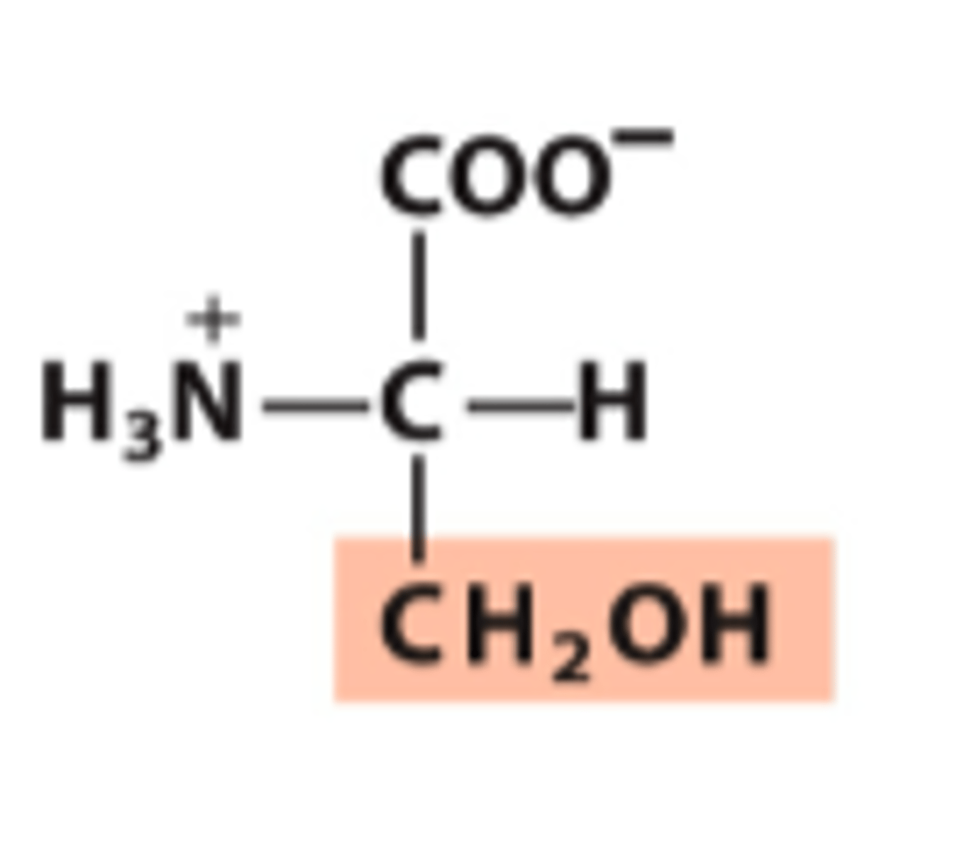 <p>What amino acid is this?</p>