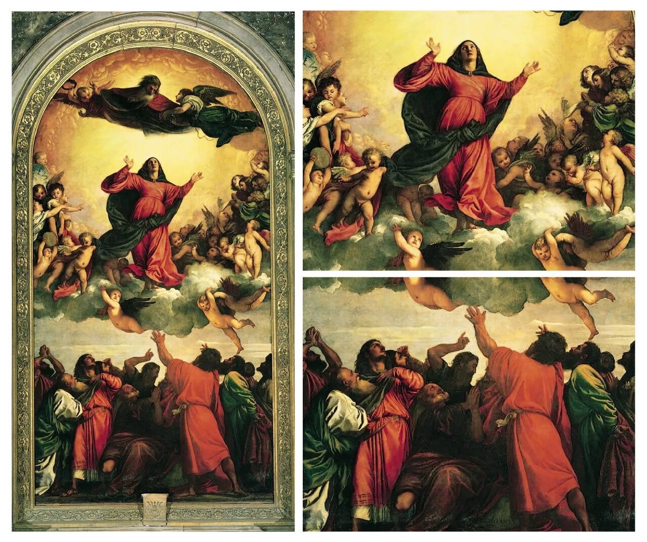 term image