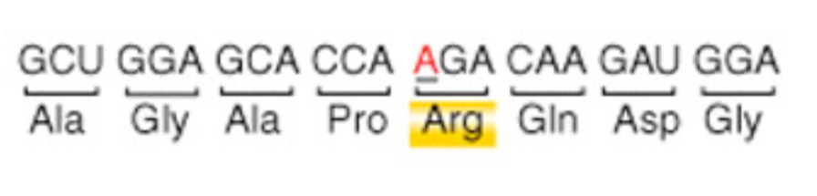 <p>changes an amino acid to another amino acid</p>