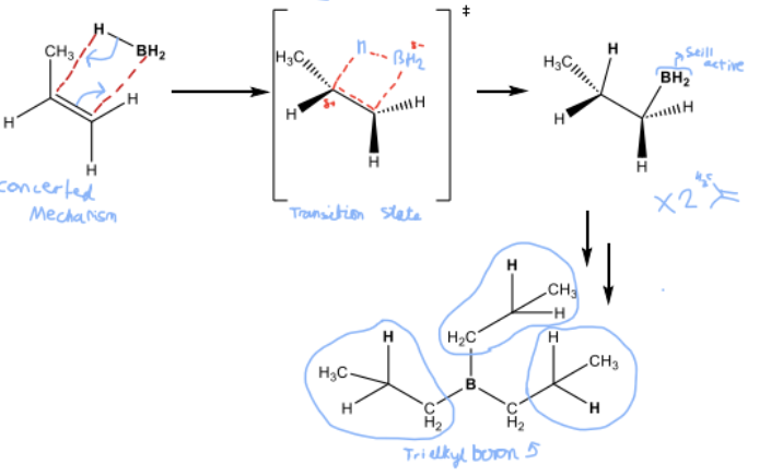 <p>Anti- Markovnikov</p>
