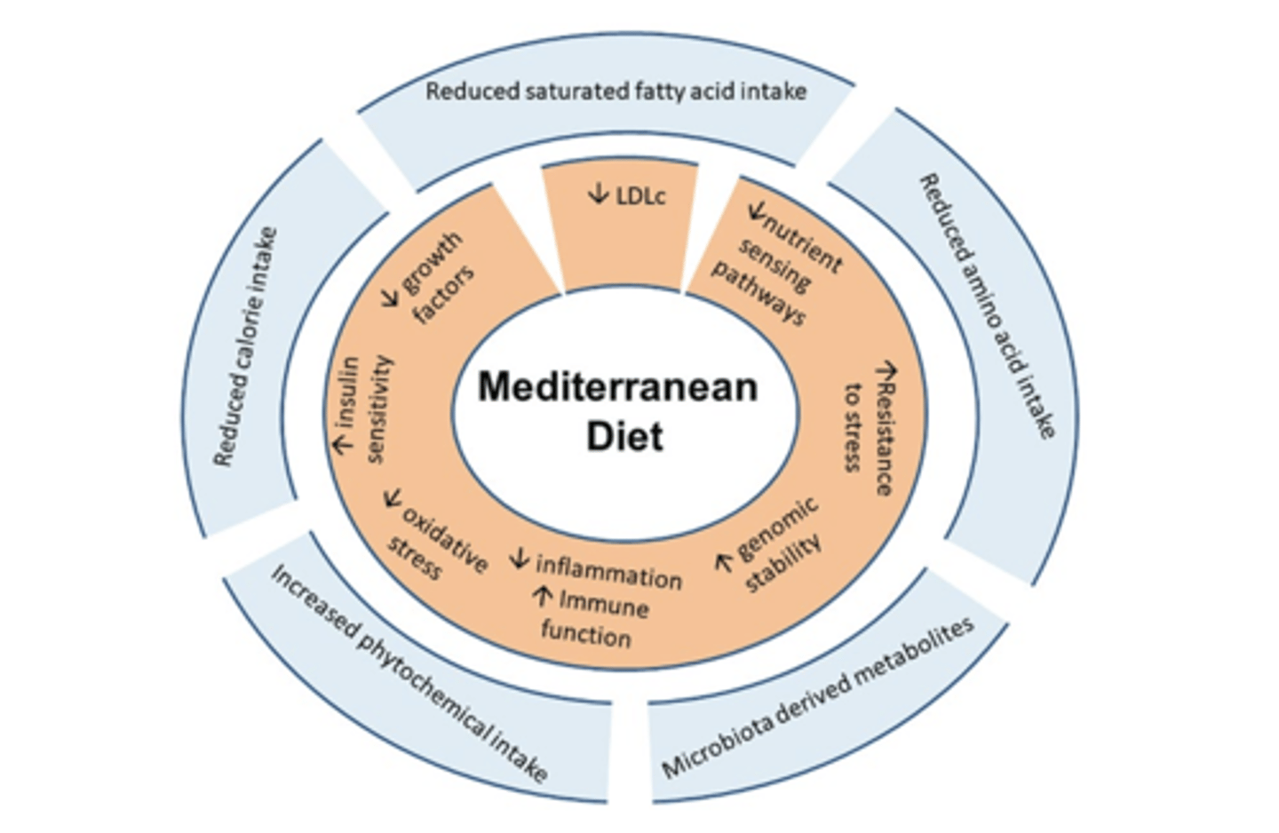 <p>- Protects against lots, obesity, CVD, etc.</p>