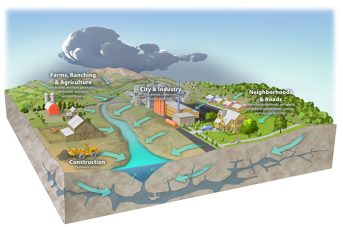 <p>pollution that comes from a larger area generally as the result of runoff</p>