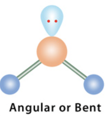 <p><span>electron domain: trigonal planar</span></p>