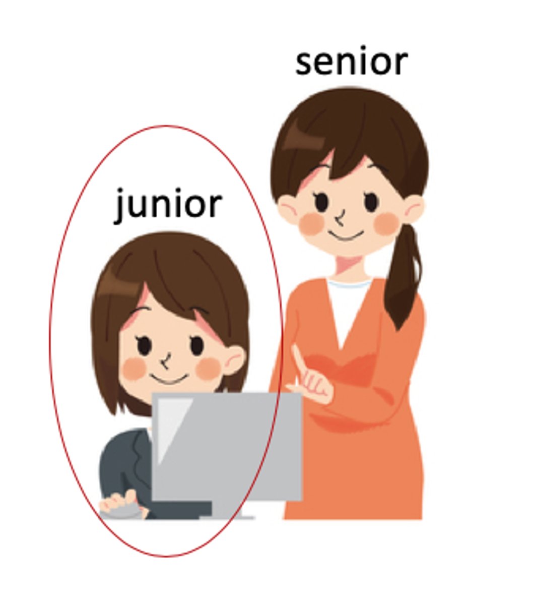<p>junior / adik kelas</p>