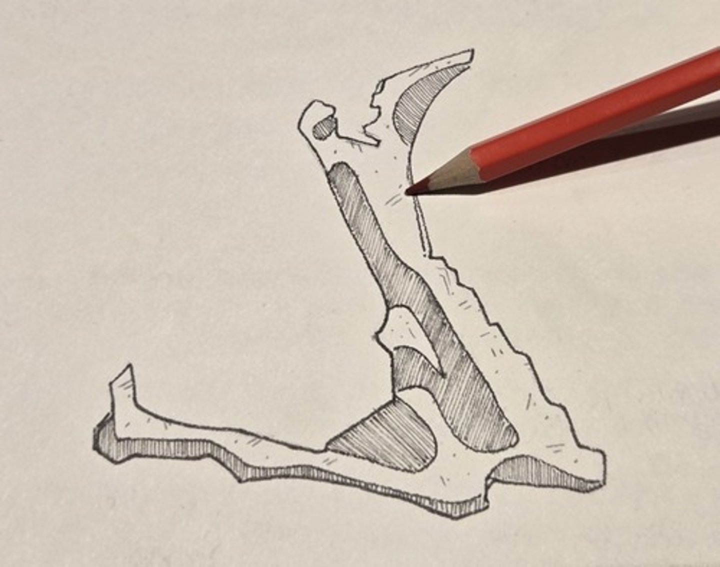 <p>appressed tightly to the posteromedial wall of the maxilla opposite the maxillary sinus, between the pterygoid plates of the sphenoid and the posterior margin of the alveolar process of the maxilla.</p>