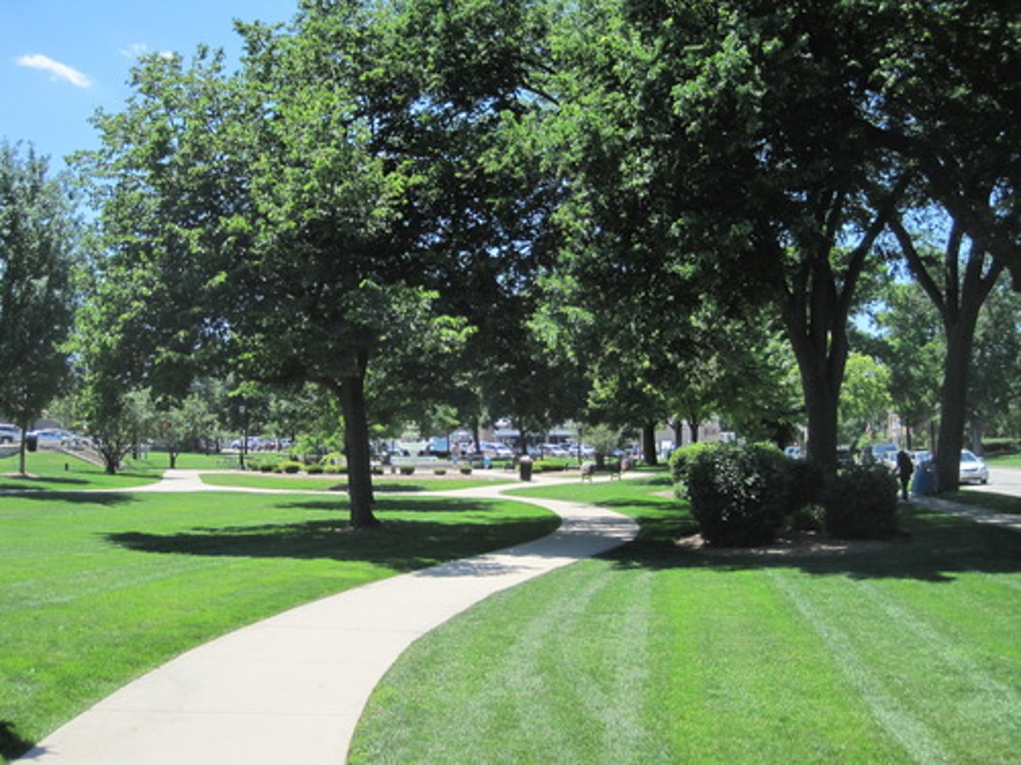 <p>parque</p>