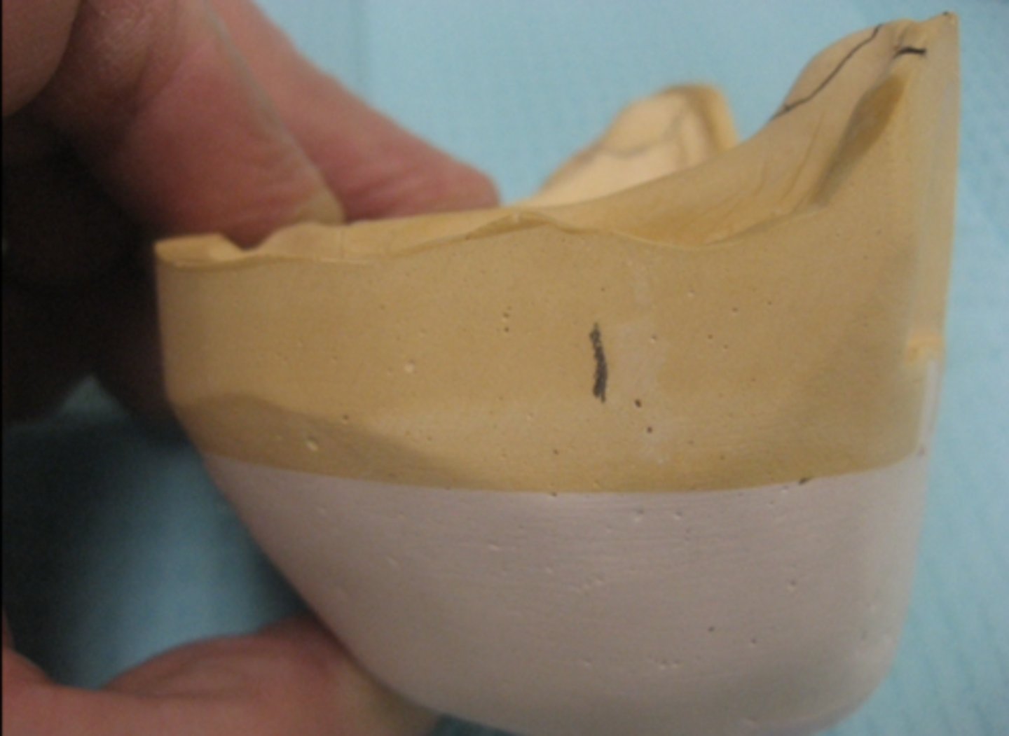 <p>What does this line mark?</p>