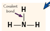<p>Displayed formula shows covalent bonds as single lines between atoms - Ammonia (pro, 2 cons)</p>