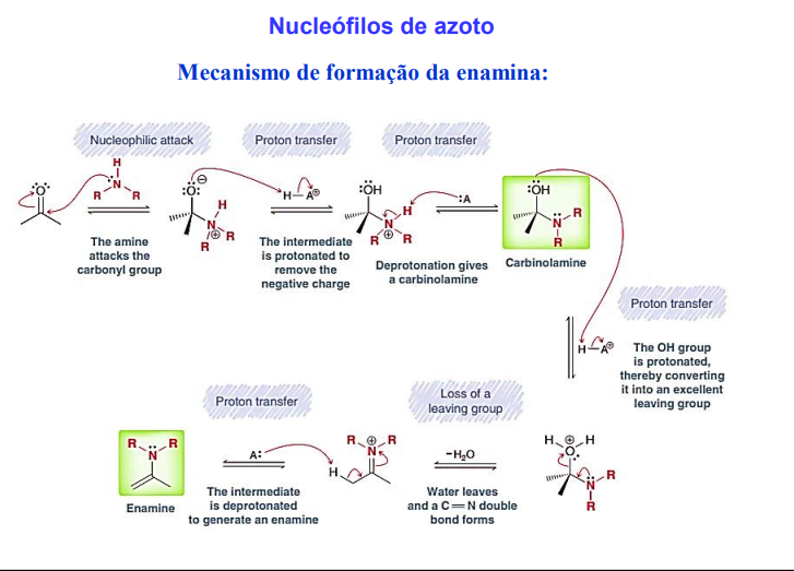 <p>1) ataque nucelofílico (da amina)</p><p>2) protonação da carga negativa do O</p><p>3) desprotonação (para originar uma carbinolamina)</p><p>4) protonação do OH (para se tornar num bom grupo abandonante)</p><p>5) saída do grupo abandonante (formação do C=N)</p><p>6) desprotonação para dar uma enamina</p>