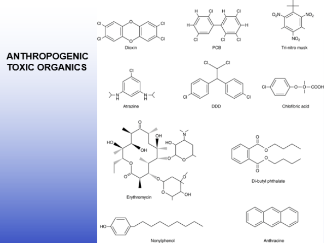 <ul><li><p class="Paragraph SCXW136466239 BCX0" style="text-align: left;"><span style="line-height: 20.925px;">Petroleum products and their derivates </span></p></li></ul><ul><li><p class="Paragraph SCXW136466239 BCX0" style="text-align: left;"><span style="line-height: 20.925px;">pesticides and herbicides </span></p></li></ul><ul><li><p class="Paragraph SCXW136466239 BCX0" style="text-align: left;"><span style="line-height: 20.925px;">Pharmaceuticals (including endocrine disrupters) other indivudal and domestic materials </span></p></li></ul><ul><li><p class="Paragraph SCXW136466239 BCX0" style="text-align: left;"><span style="line-height: 20.925px;">when it says organic, it has a carbon </span></p></li><li><p class="Paragraph SCXW136466239 BCX0" style="text-align: left;"><span style="line-height: 20.925px;">in the pic, those are all organic pollutants because of the carbon rings</span></p></li></ul><p></p>