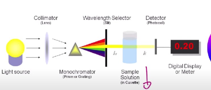 <ul><li><p>Figure out the concentration of a certain solution using different light sources </p><ul><li><p>Light can be absorbed by solutions depending on the concentration of the sample. </p><ul><li><p>Solutions will absorb the opposite color that they are the most. </p><ul><li><p>If there are externalities in the process such as more layers to go through in the cuvette, more light will be absorbed. </p></li></ul></li></ul></li></ul></li></ul>