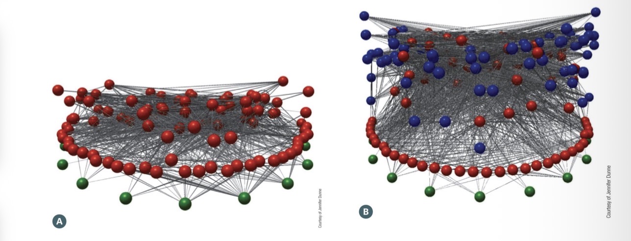 <p><span><span>A specialist parasite that feeds on a lion, has a trophic level above the lion, even though it is smaller</span></span></p>