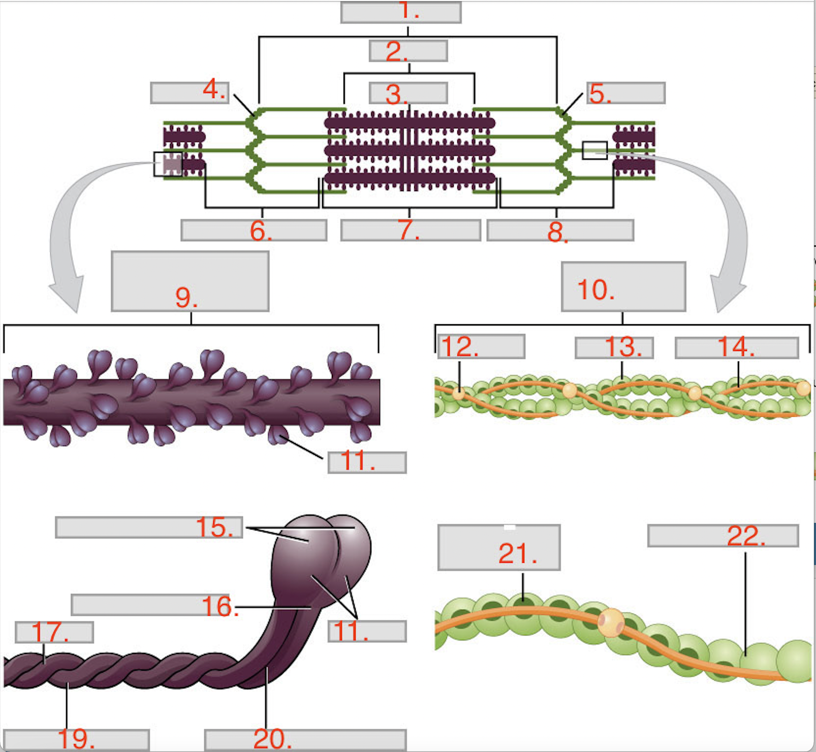 <p>6 and 8</p>