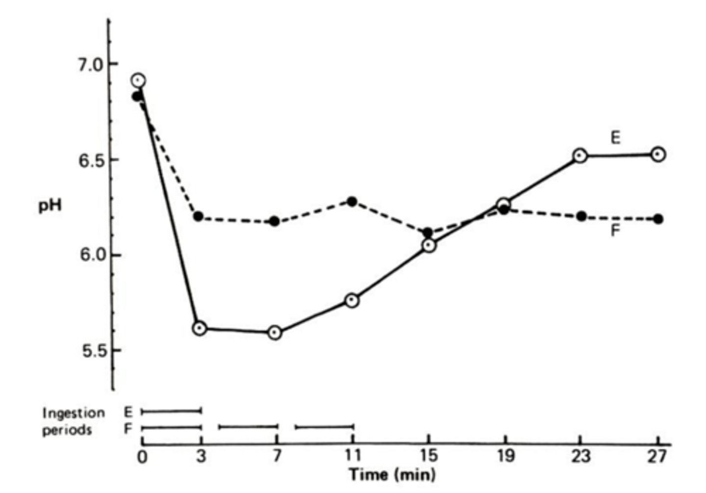 <p>E = sugared coffee alone</p><p>F = Sugared coffee and 2 nonacidogenic foods (eggs and non crisp bread)</p><p>Takaway:</p><p>- The drop was blunted when nonacidogenic food was consumed with the acidic coffee</p>