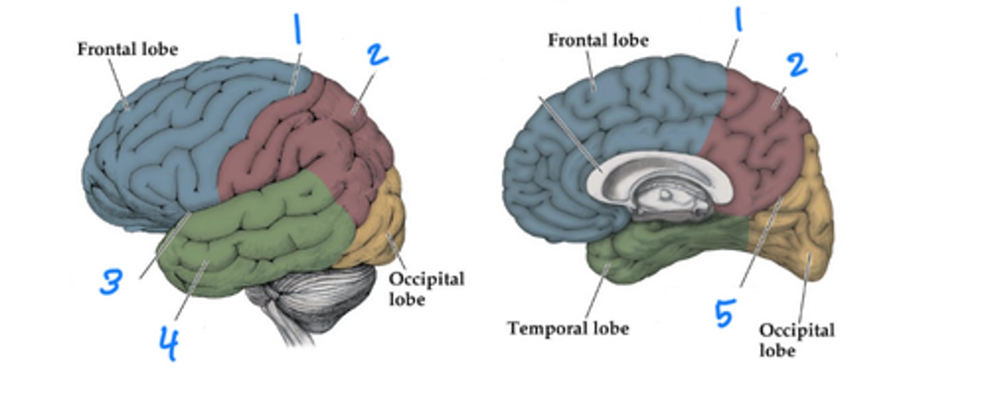 <p>1</p>