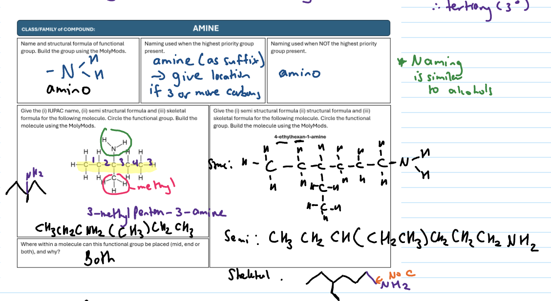<p>NH2 (amino) group</p><p>-amine suffix (give location)</p><p>“amino” is used when not the highest priority functional group</p>