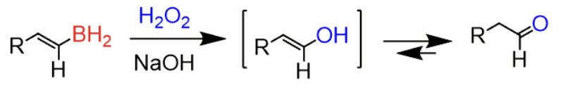 <p><span>1) BH3/THF 2) H2O2, NaOH</span><br><span>forms enol (OH bound to an alkene) → tautomerizes to aldehyde (terminal alkyne)</span><br><span>- anti-markovnikov</span><br></p>